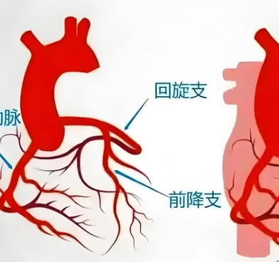 冠狀動脈介入手術(shù)控制系統(tǒng)